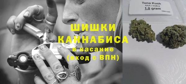 скорость Каменка
